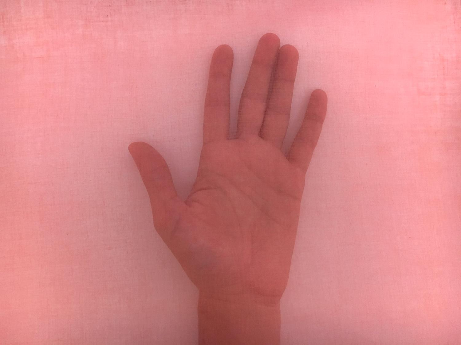 Swiss Cotton Organdy in Orange1