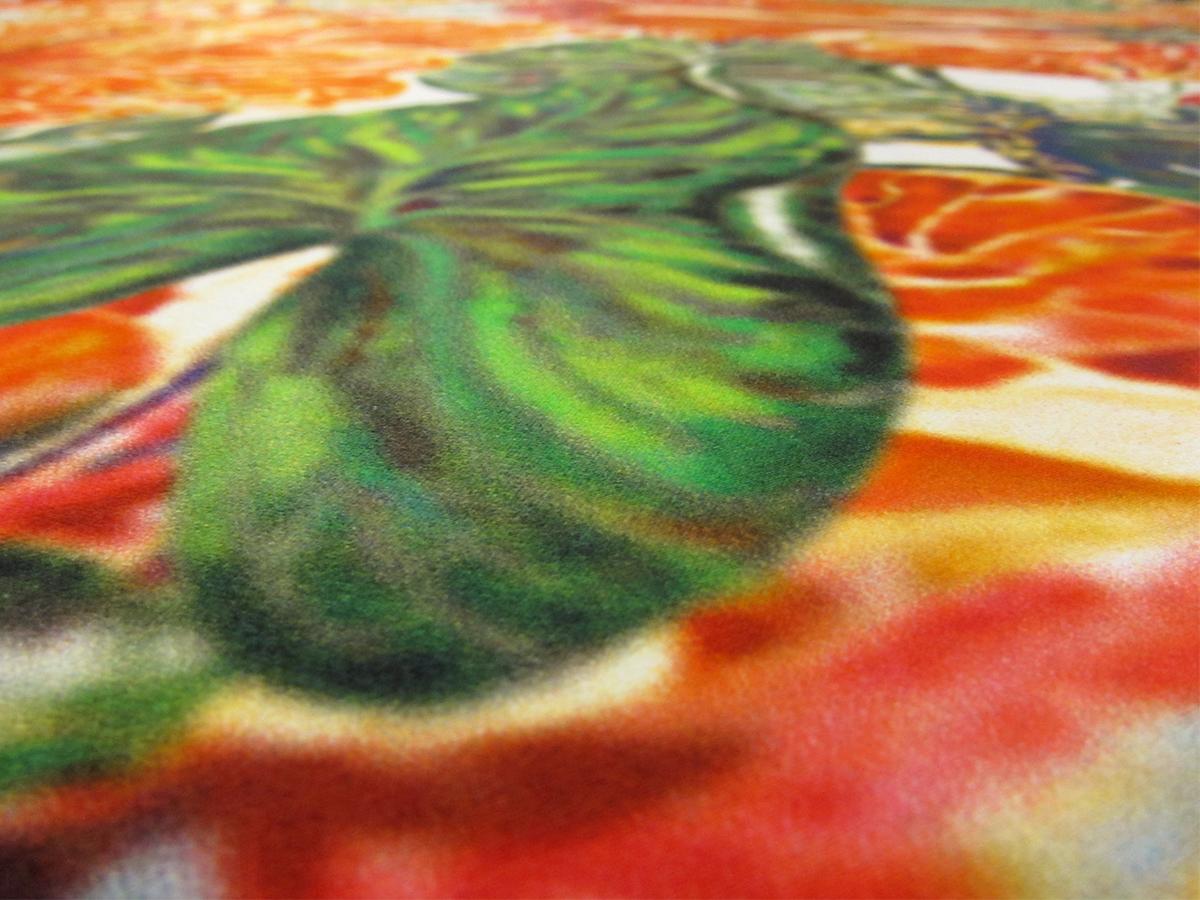 Printed Silk Charmeuse1