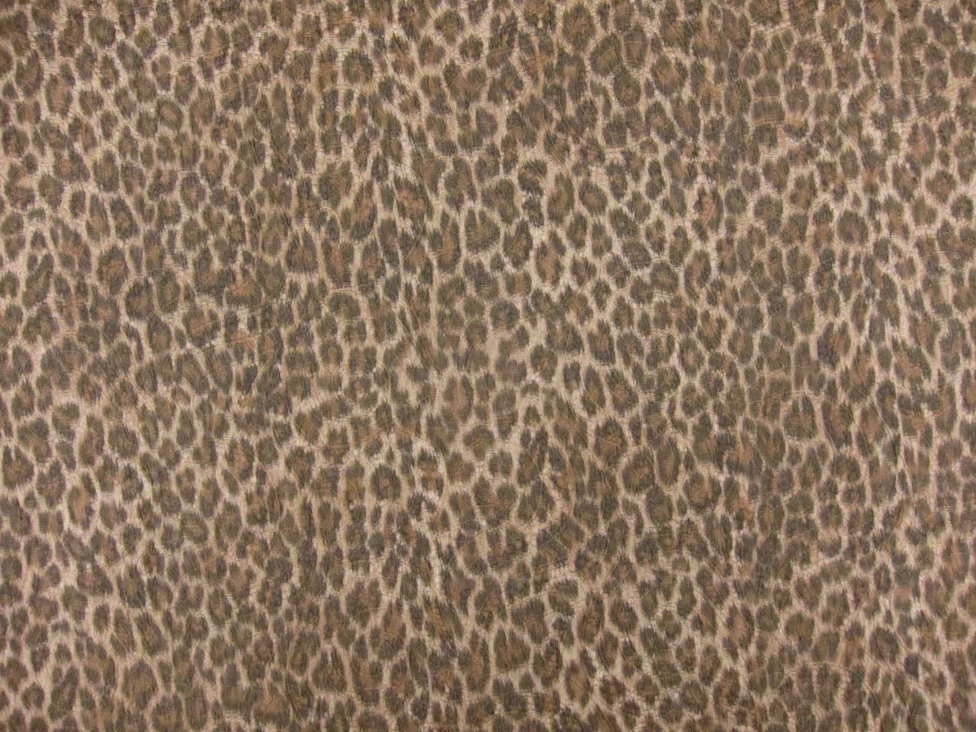 Brocade0