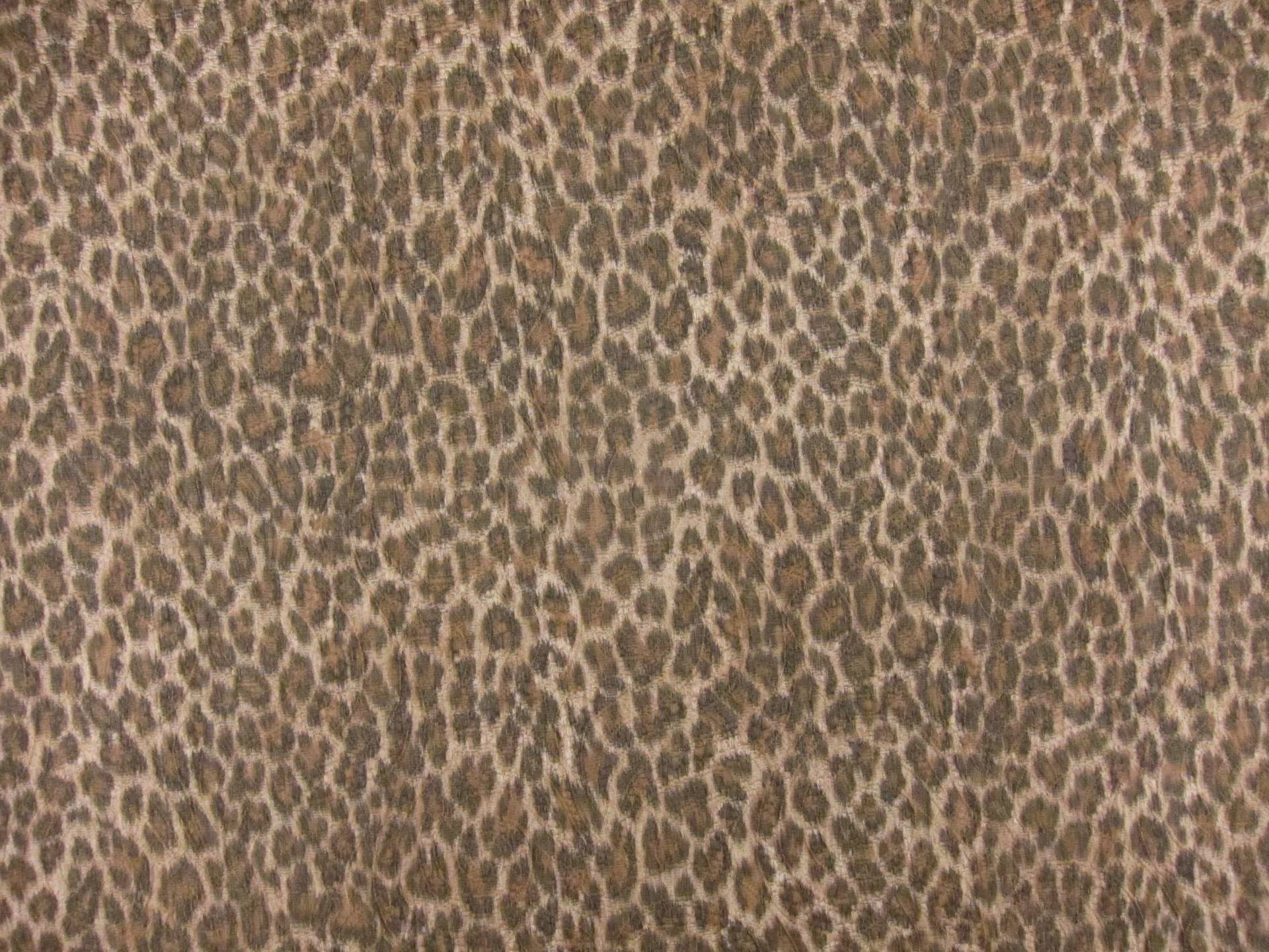 Brocade0