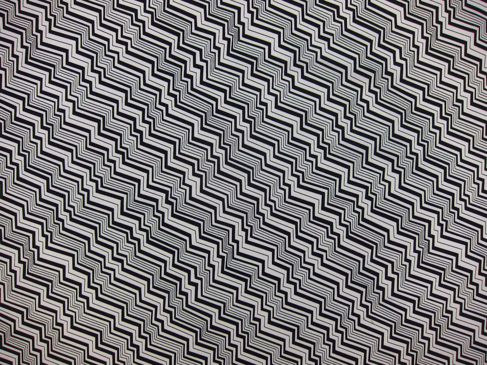 Cotton Broadcloth Print0
