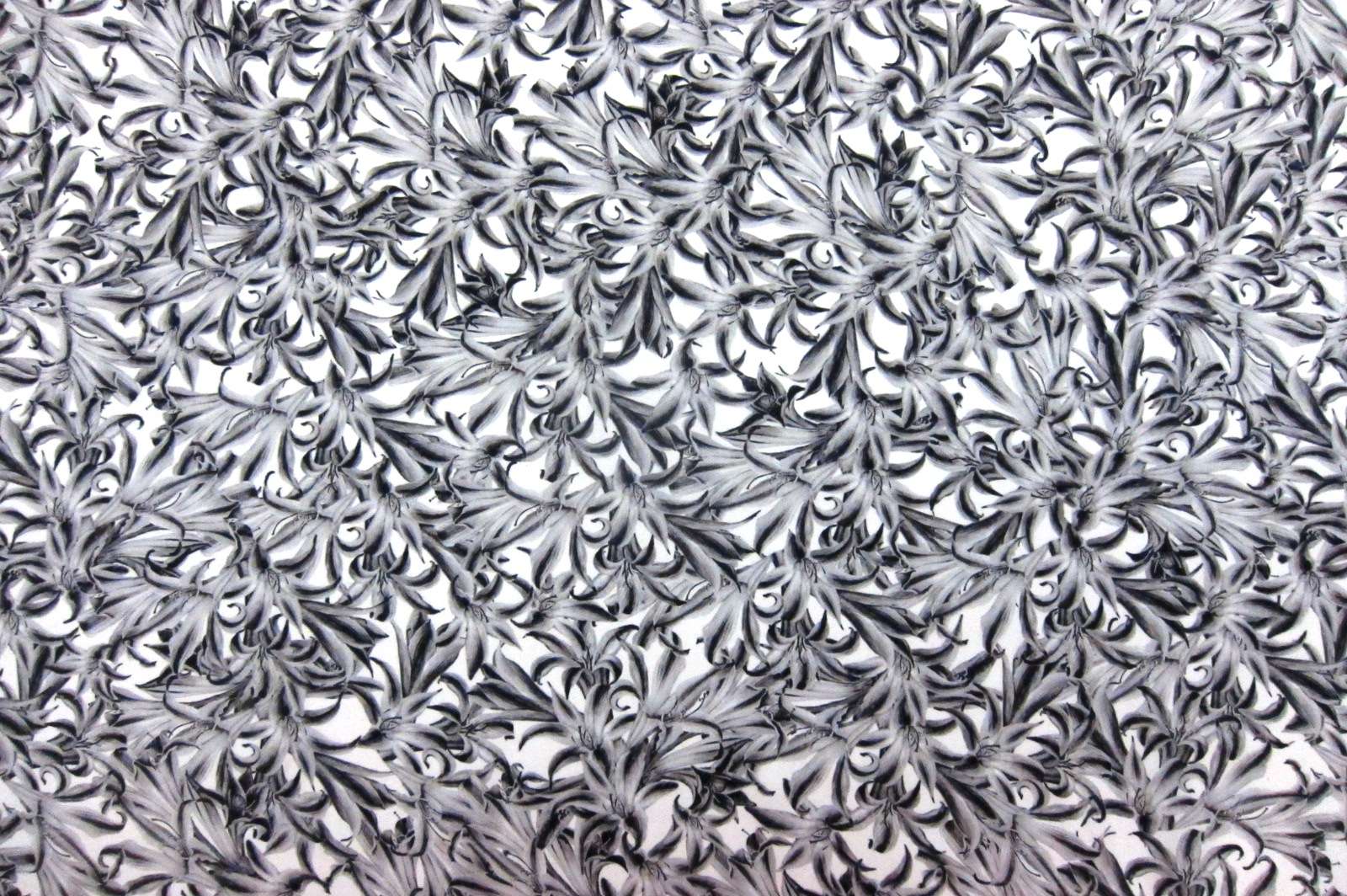 Silk Charmeuse Floral Print in White Background