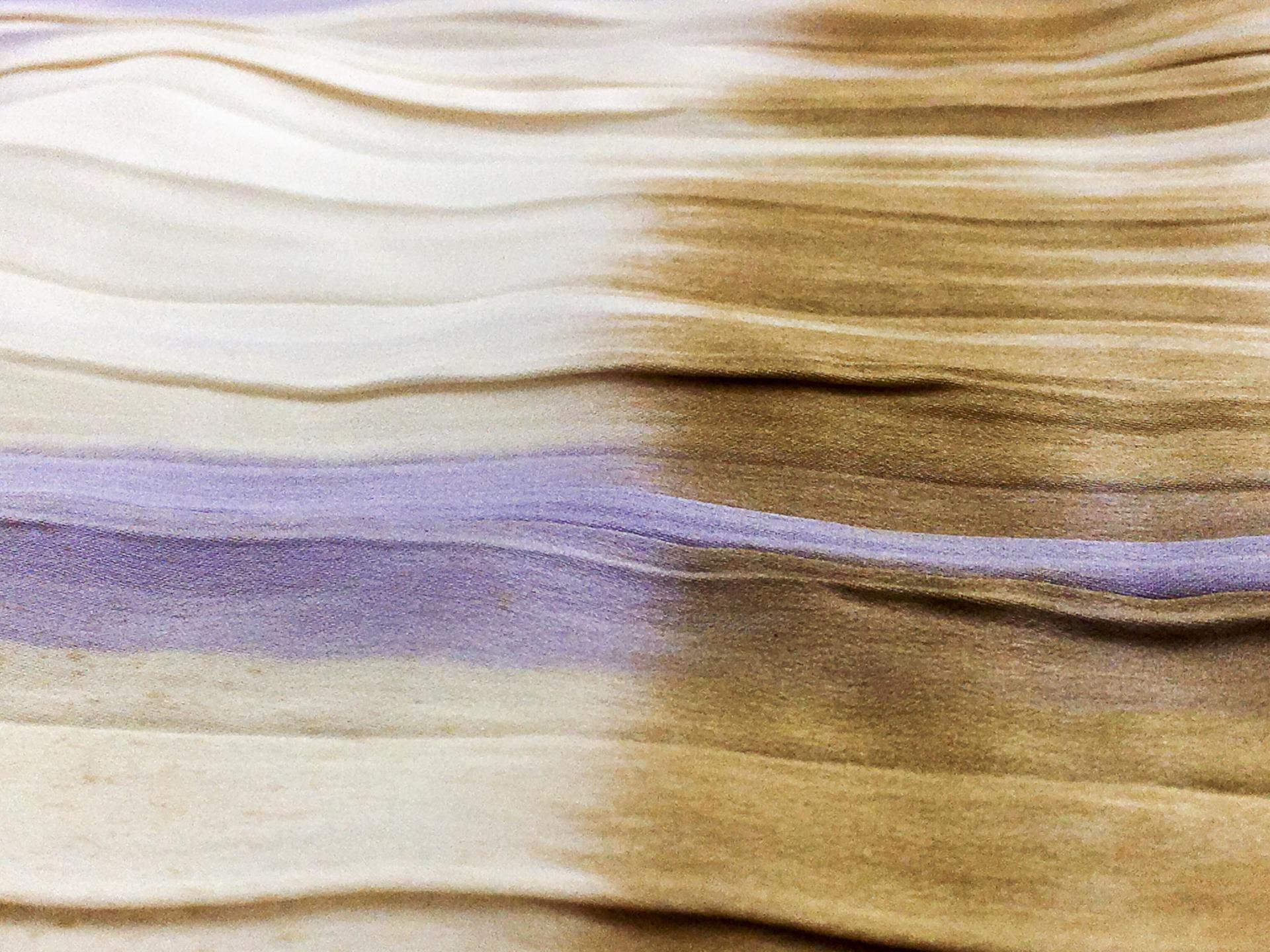 Pleated Printed Silk Charmeuse2