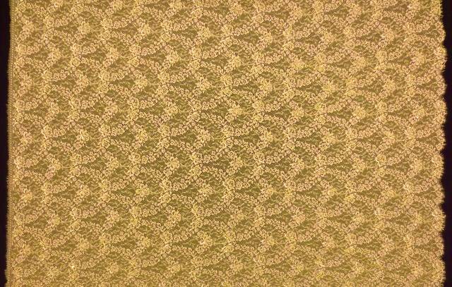 Beaded Chantilly Lace3