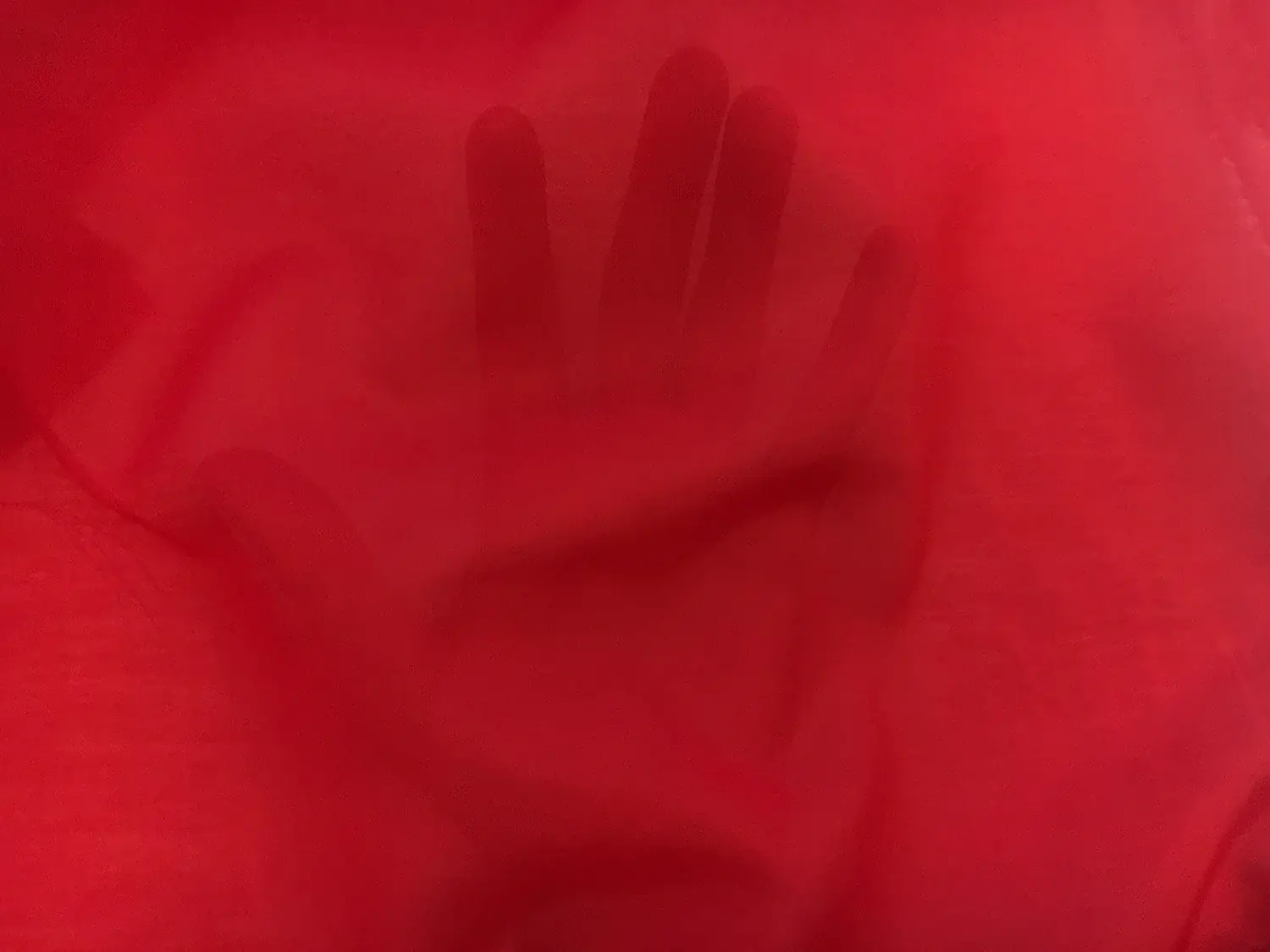 Silk Cotton Voile in Ruby2