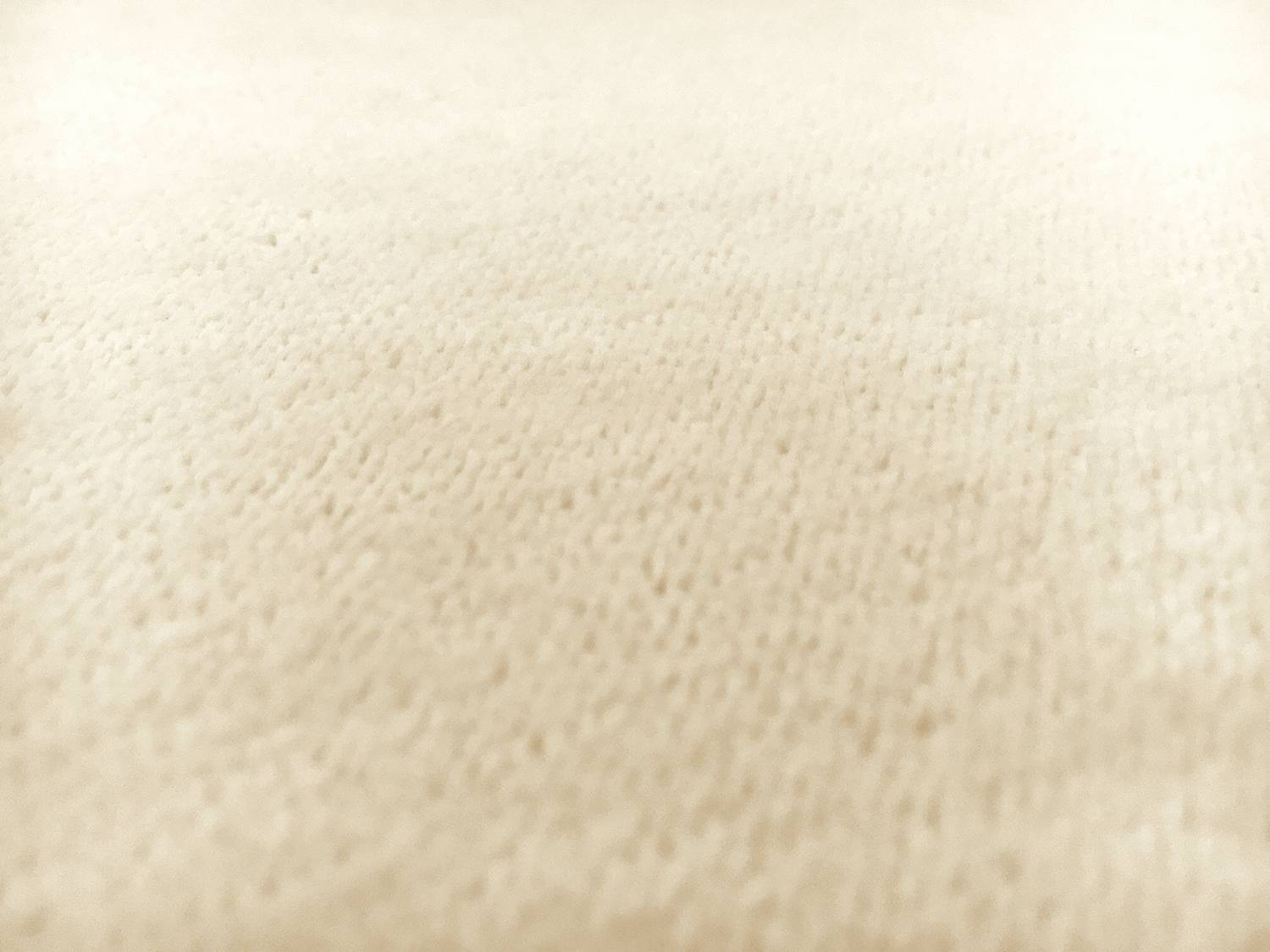Cotton Terry Velour in Natural2