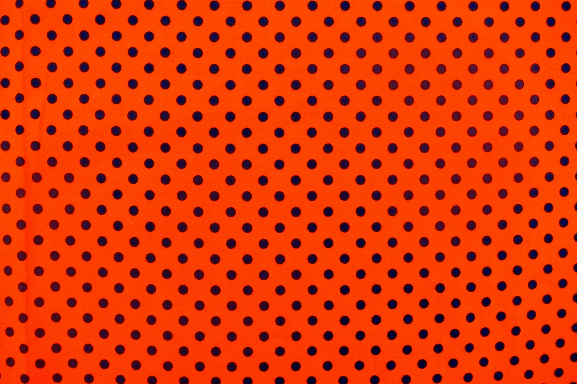Cotton Broadcloth Print