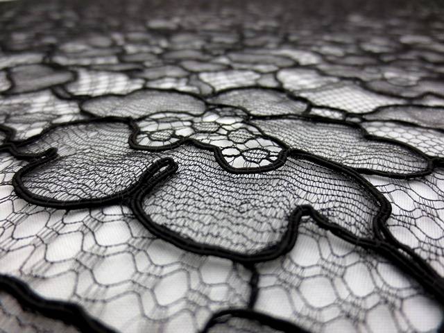 Corded Chantilly Lace2
