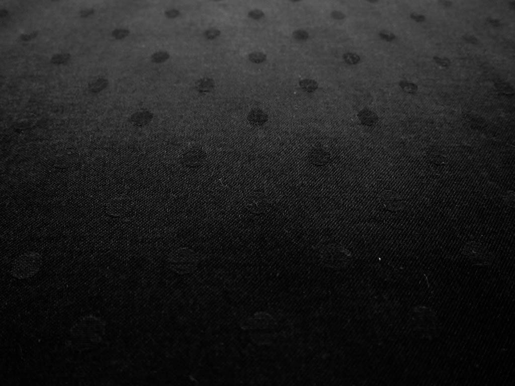 Polka Dot Lining2