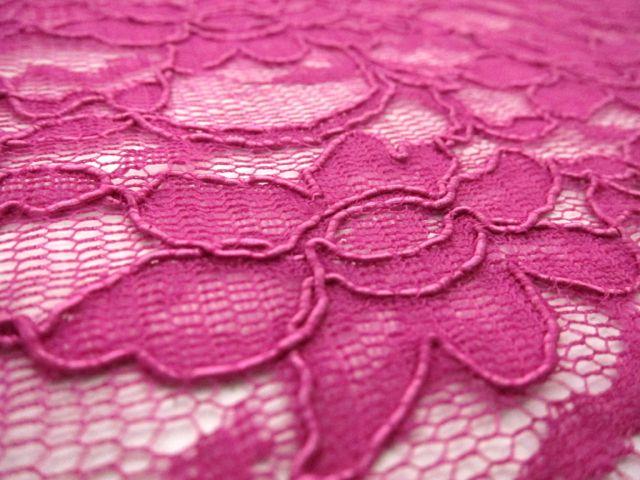 Cotton Nylon Alençon Lace2