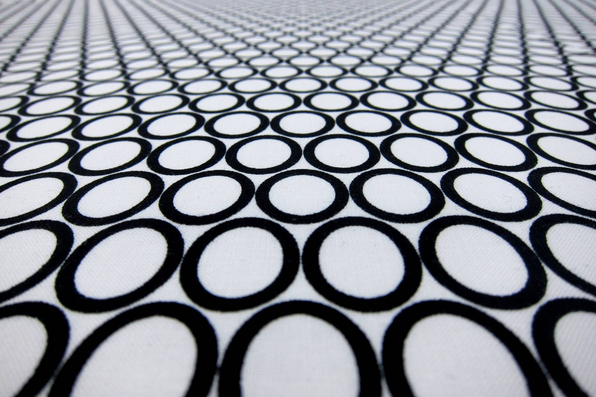 Cotton Broadcloth Print2