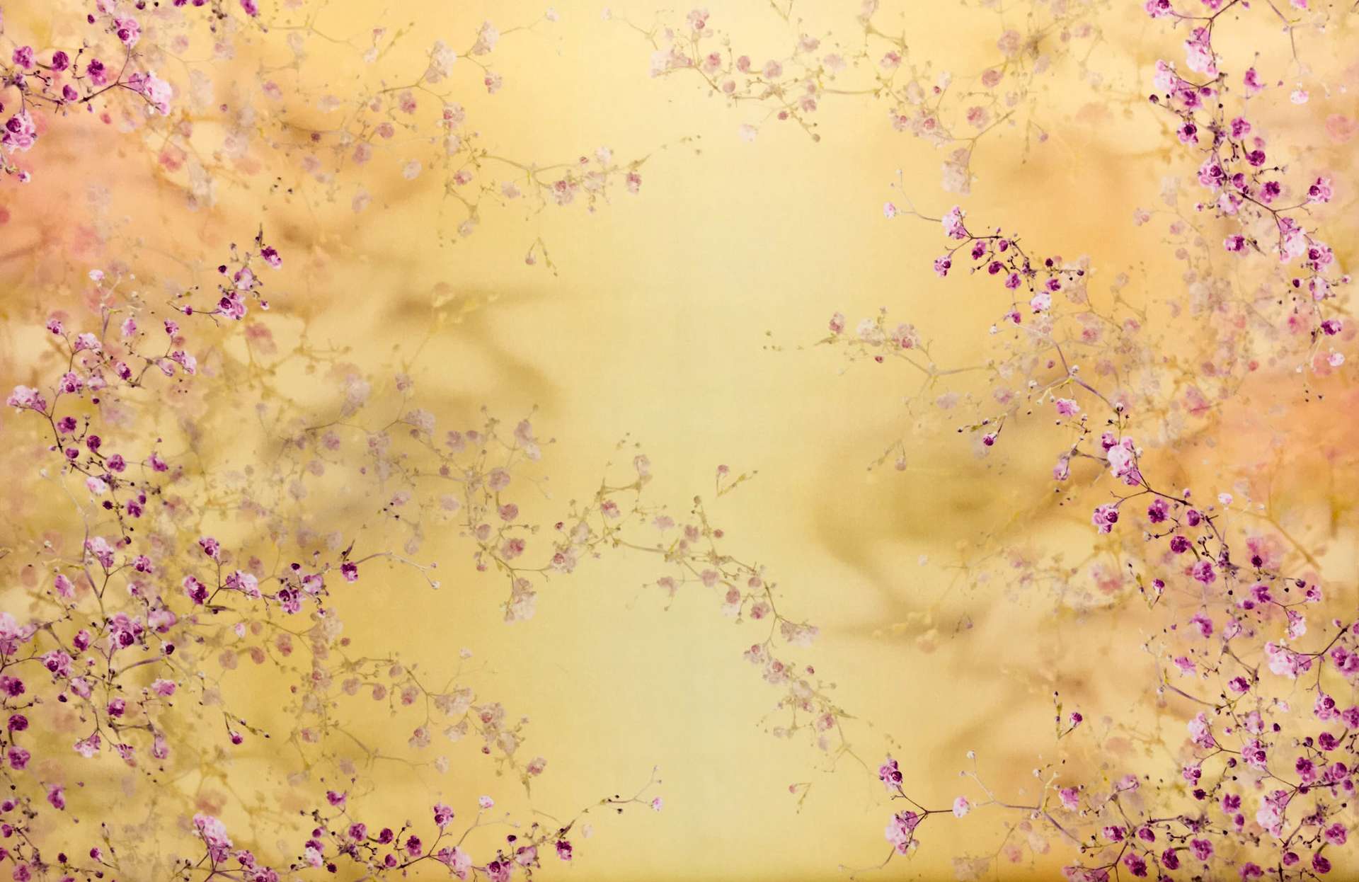 Printed Silk Satin Organza with Cherry Blossoms0