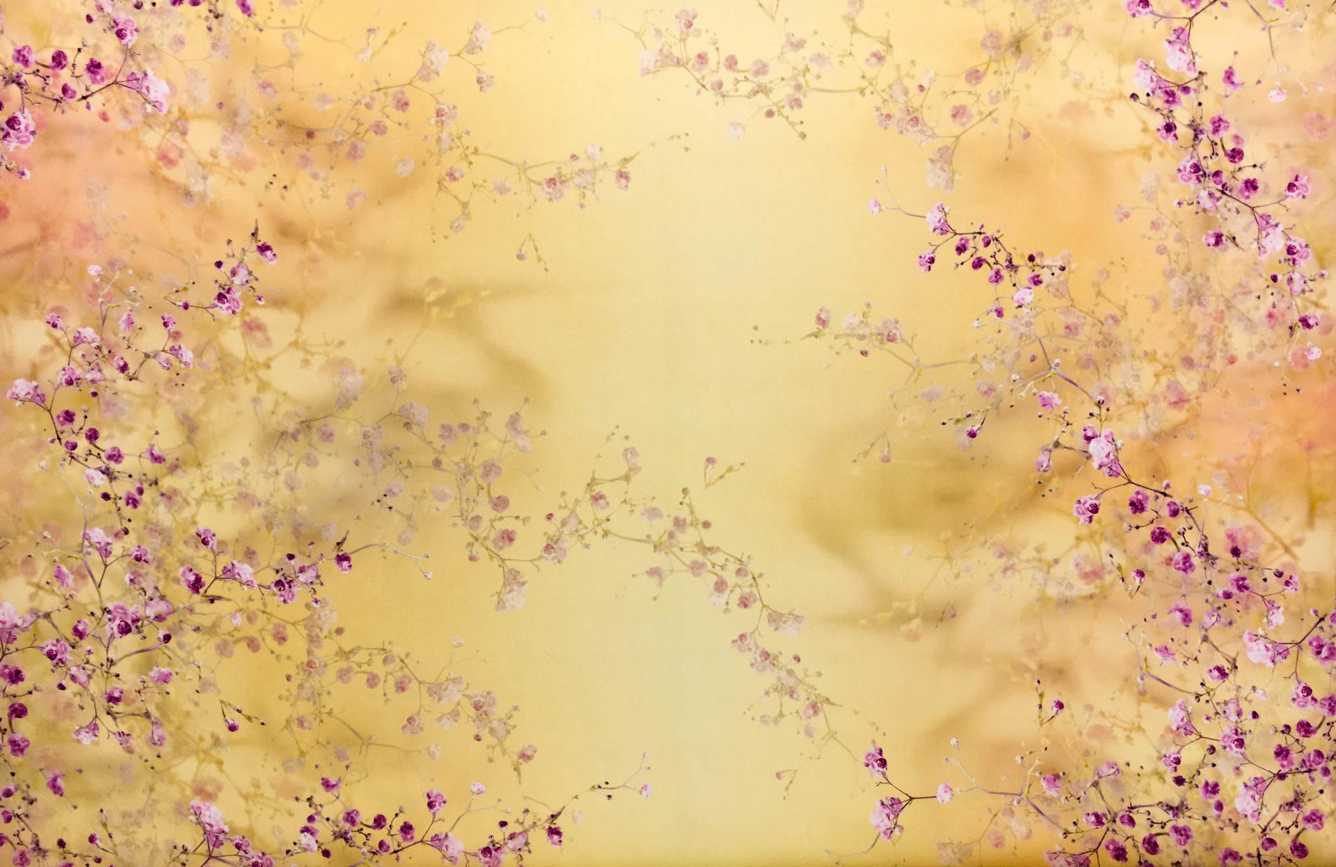 Printed Silk Satin Organza with Cherry Blossoms0