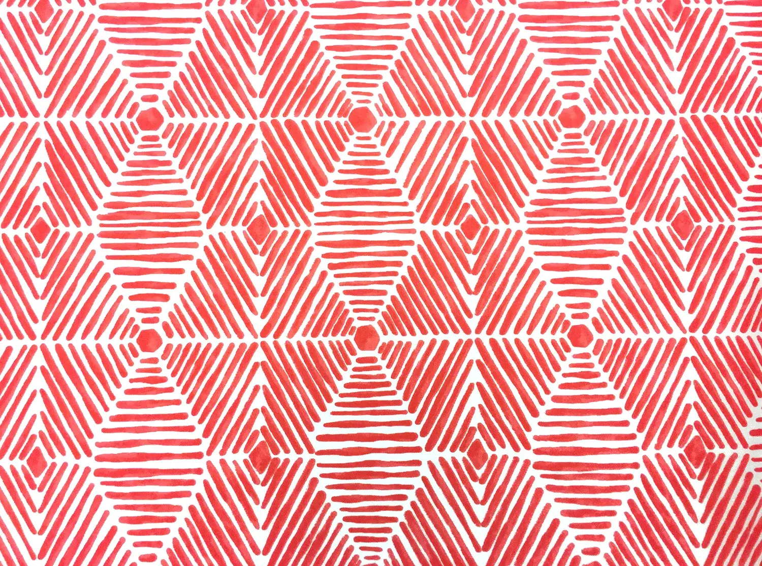 Outdoor Heni Canvas Print0