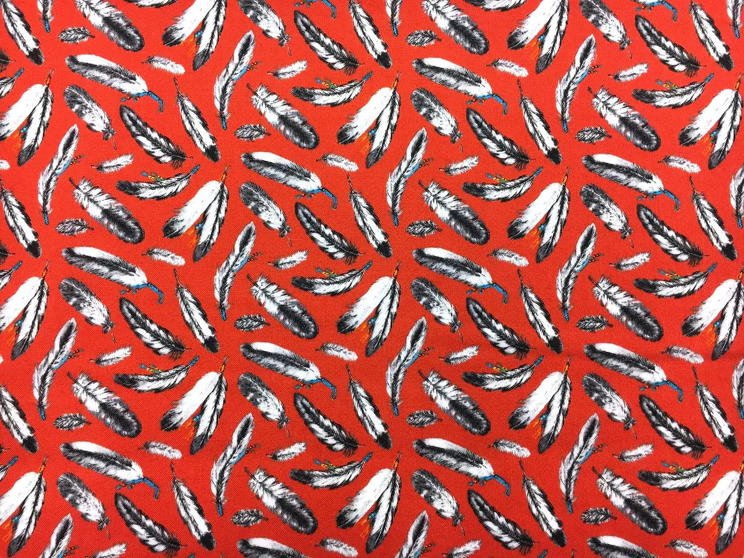 Cotton Broadcloth With Feathers Print0