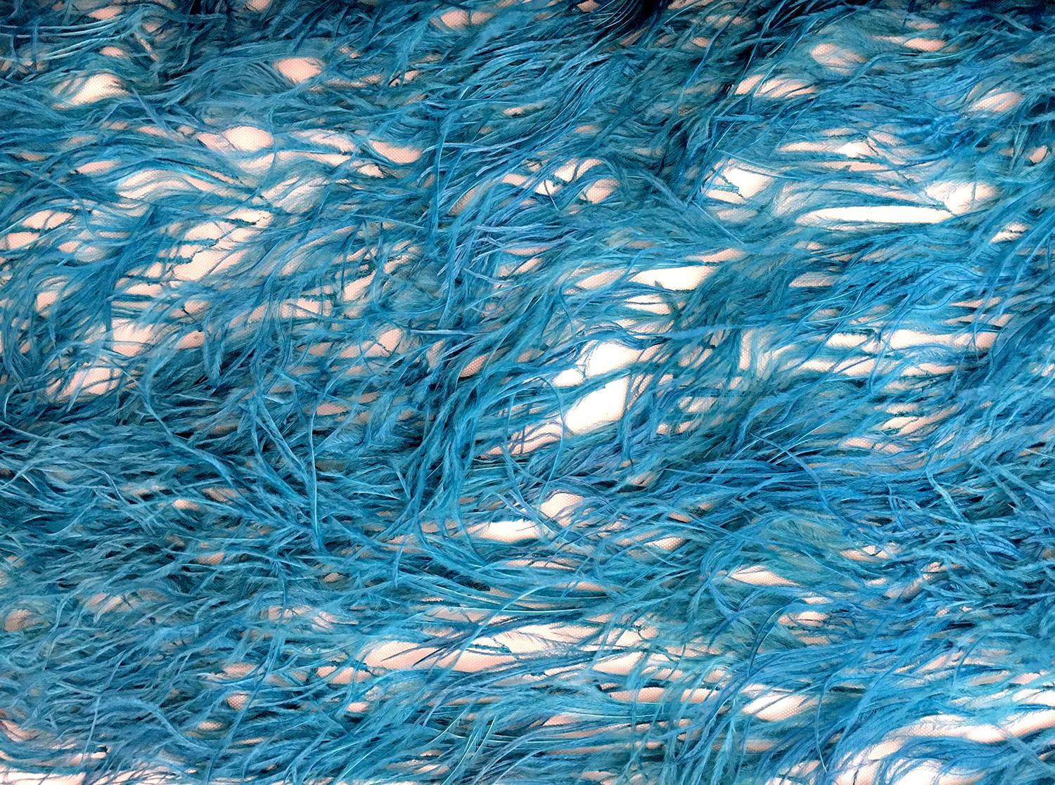 Ostrich Feather Trimmed Illusion