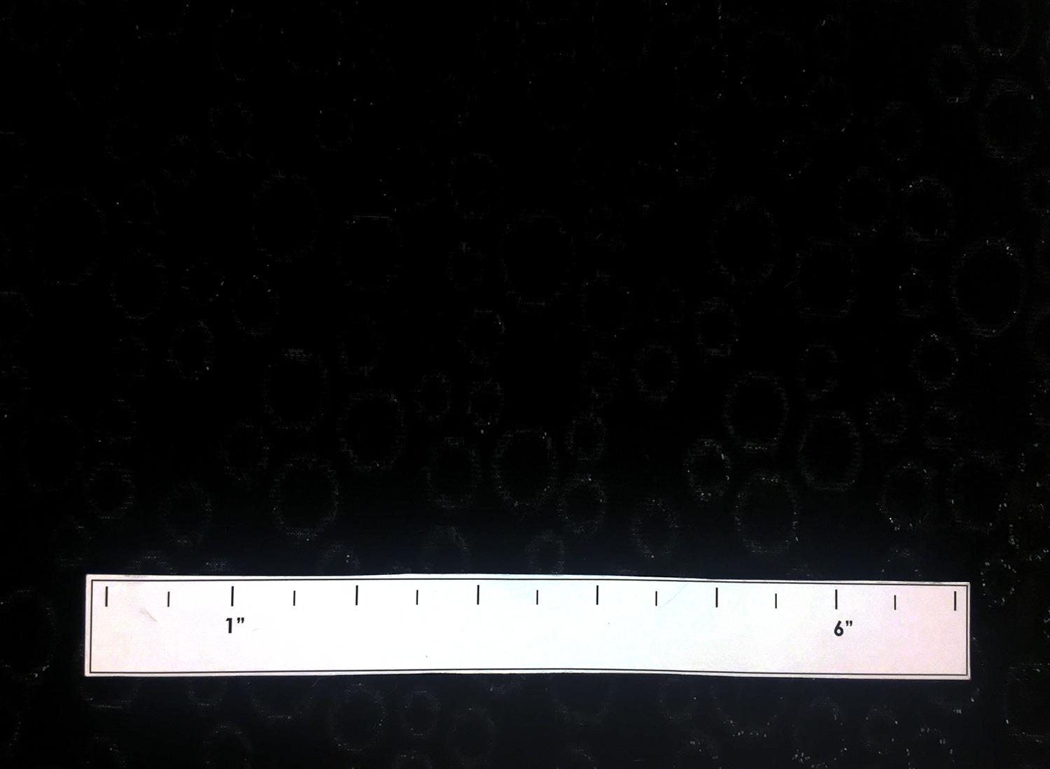 Silk Lurex Panne Velvet with Circles in Black1