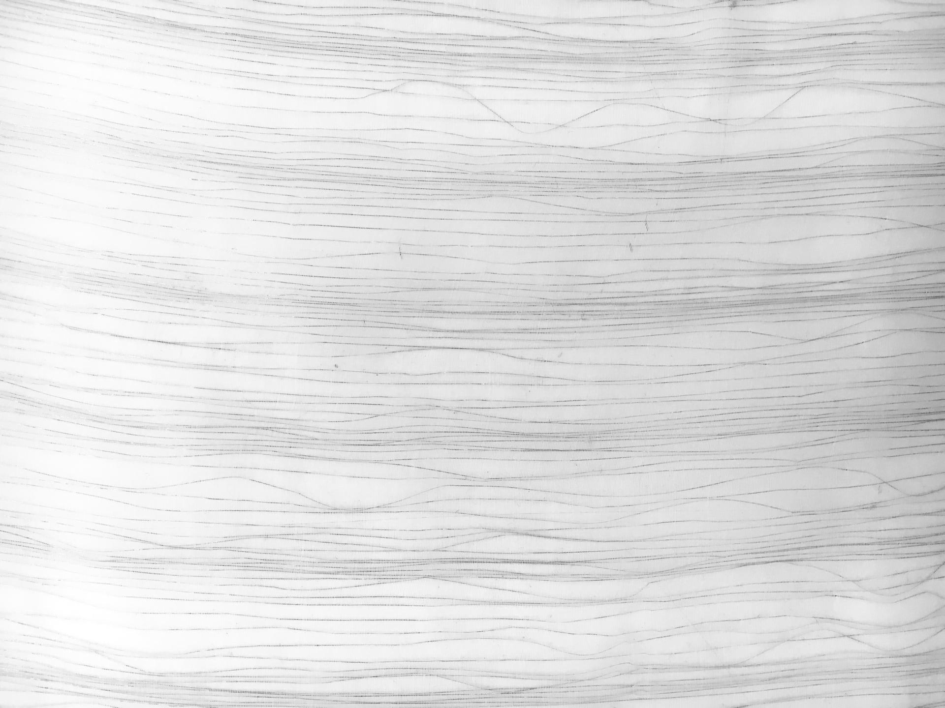 Double Layer Organza with Lurex Strands1