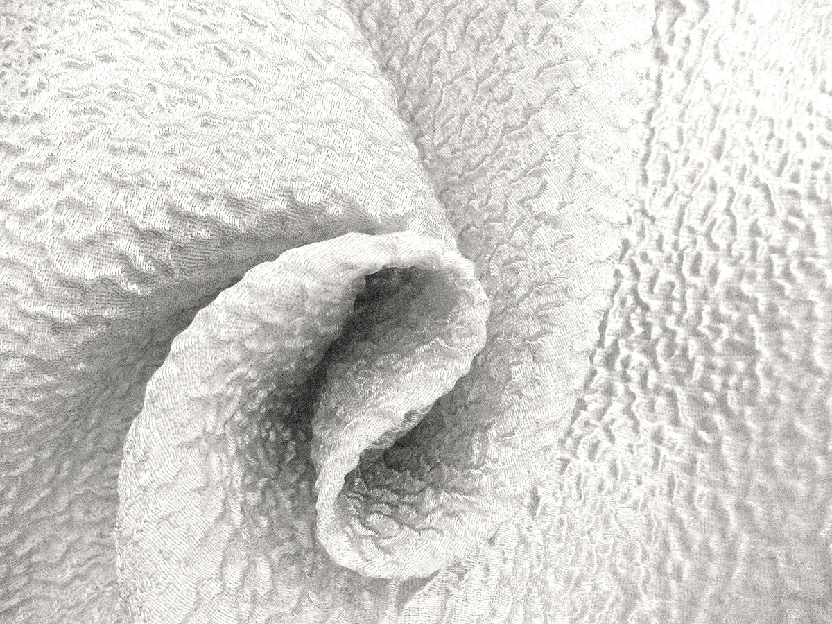 Silk Blend Organza Cloqué1