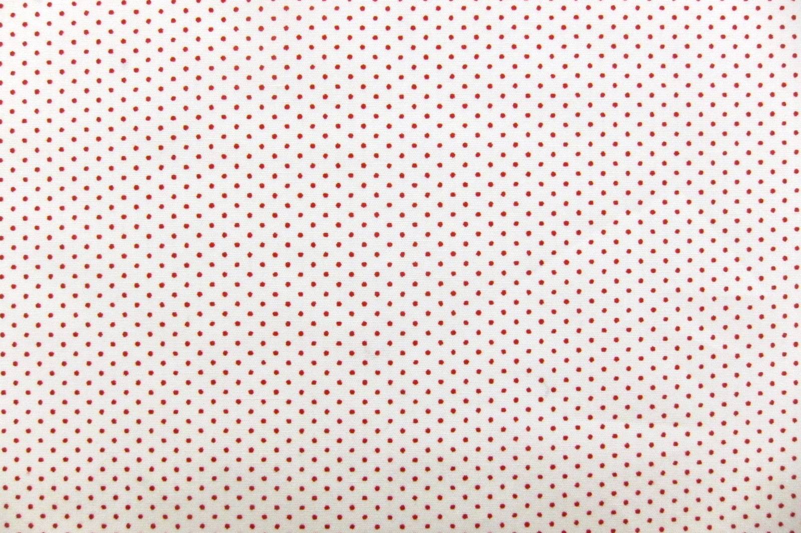 Cotton Broadcloth Print0