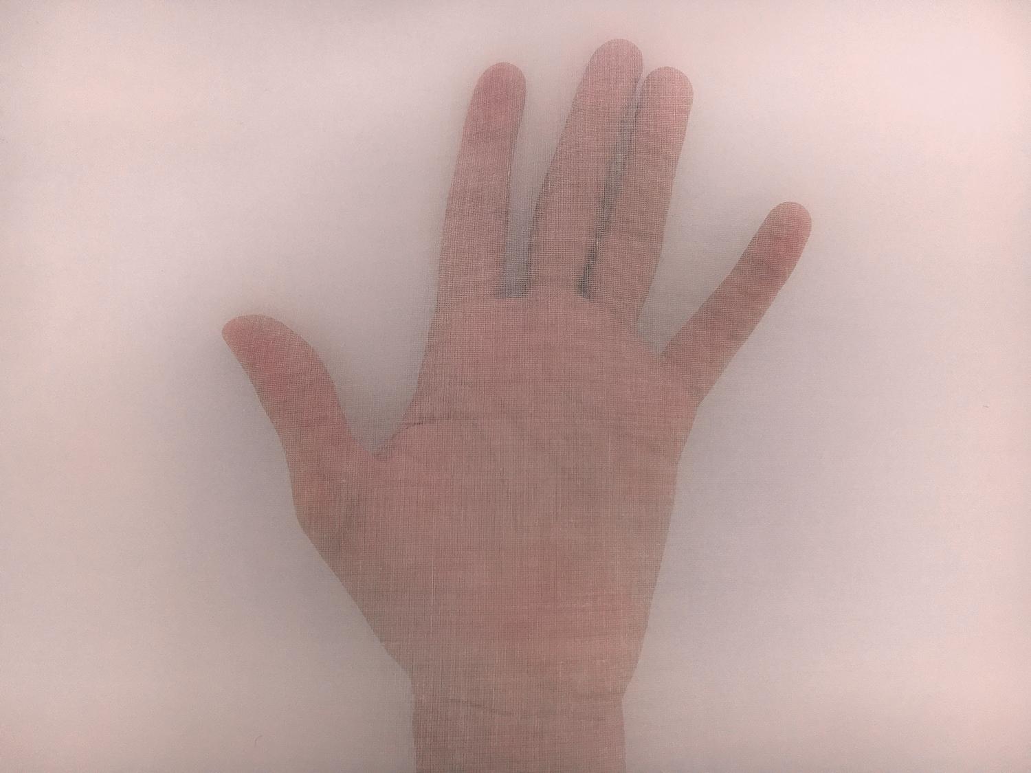 Swiss Cotton Organdy in Baby Pink