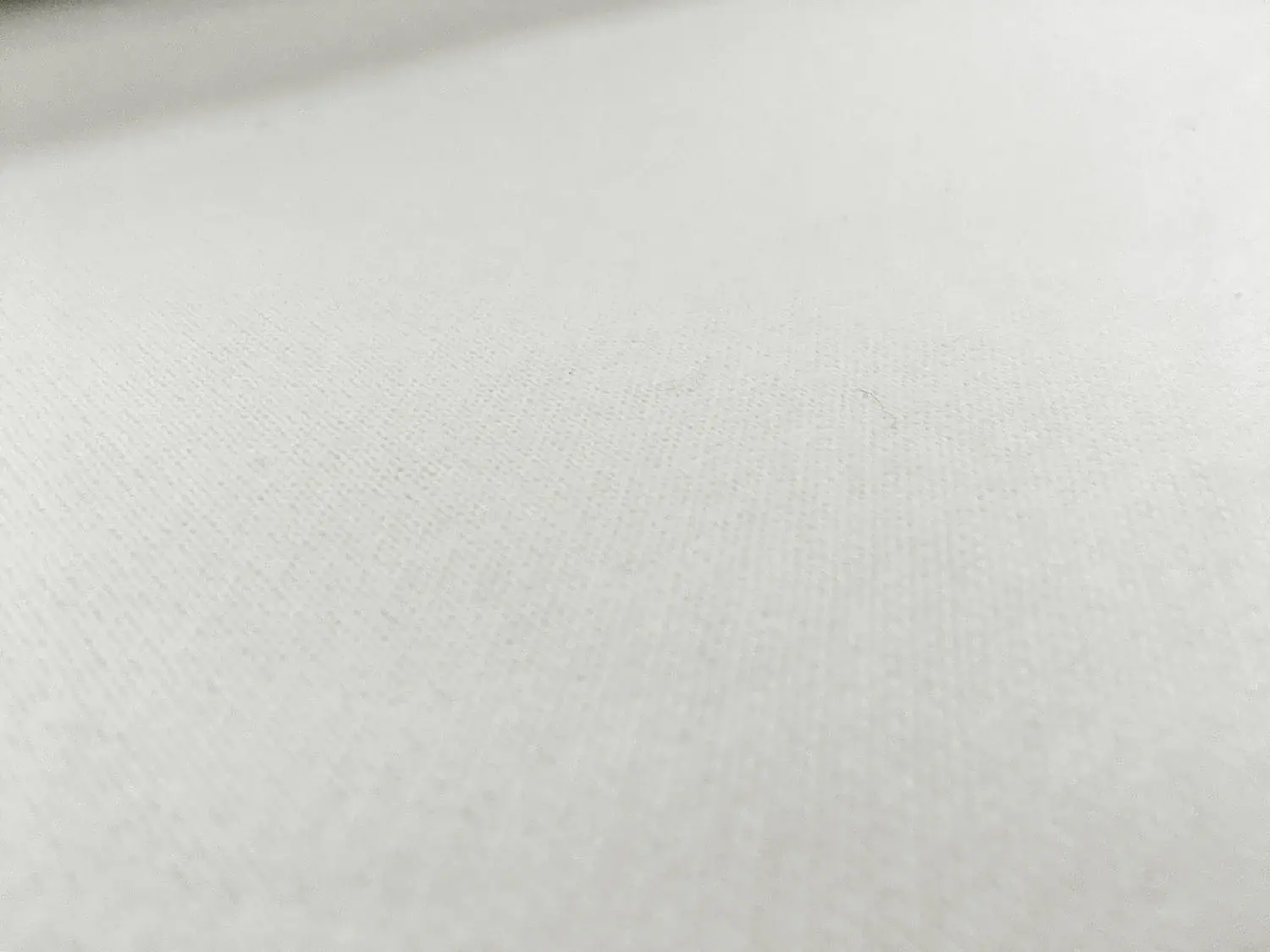 Japanese Cotton Sweatshirt Fleece in White2