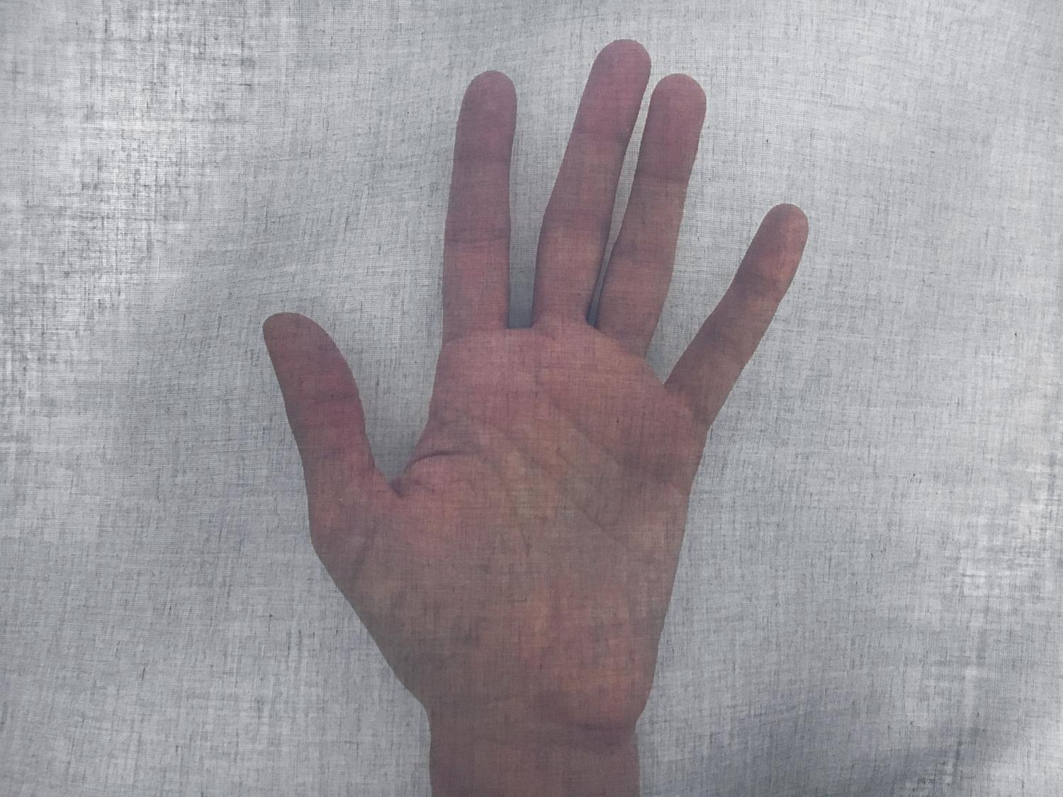 Swiss Cotton Organdy in Bright Navy1