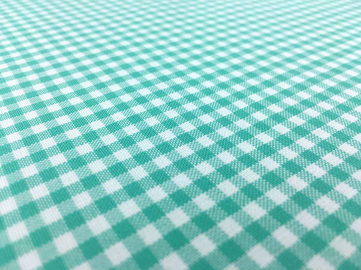 Carolina Cotton Gingham in Seafoam2