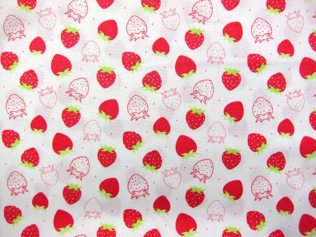 Cotton Broadcloth Print0