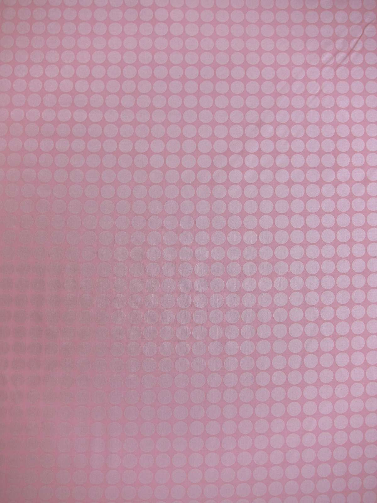 Cotton Broadcloth Print