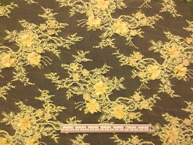 Beaded Chantilly Lace 1