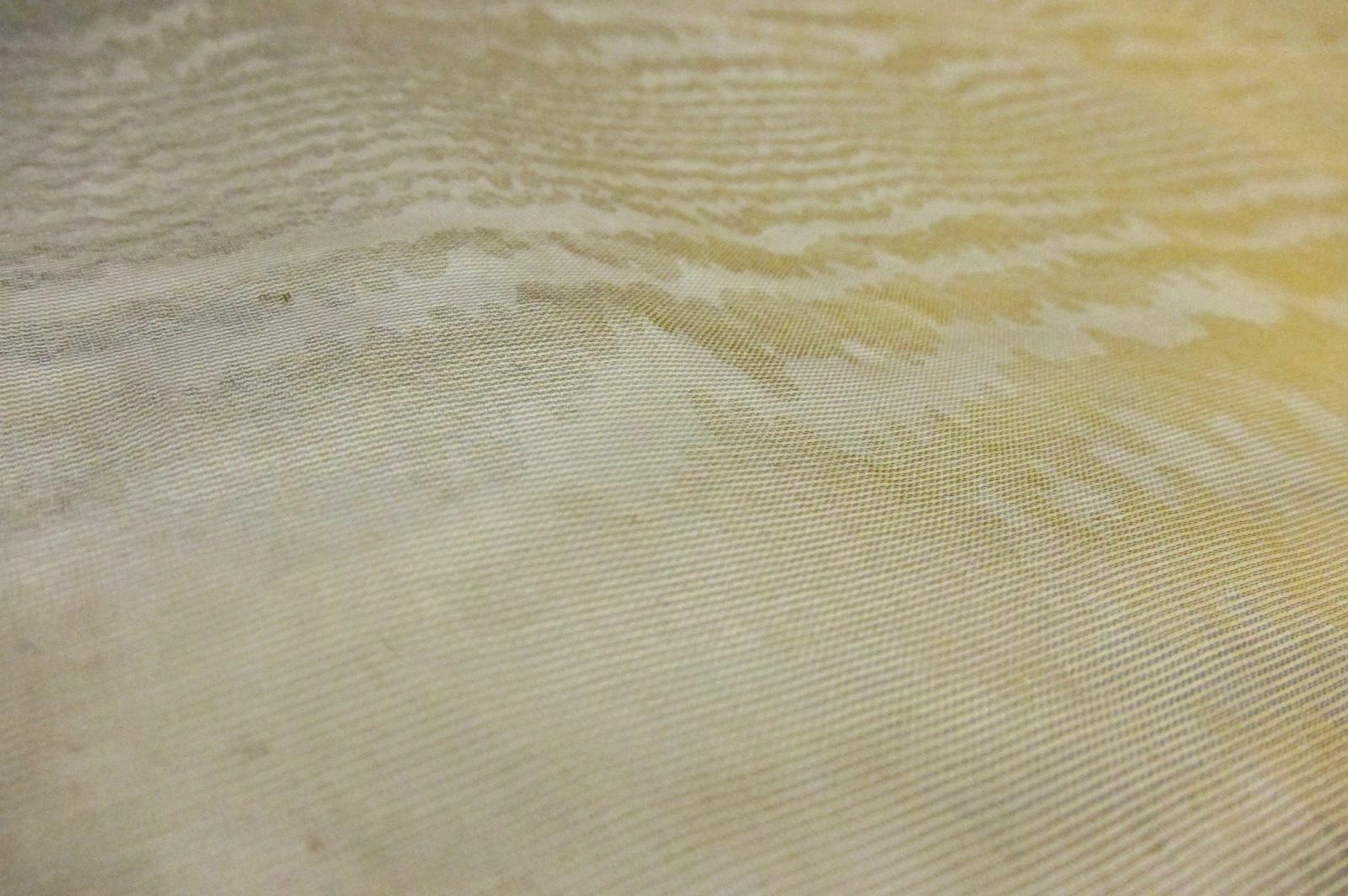 Iridescent Silk Blend Organza Moiré 3