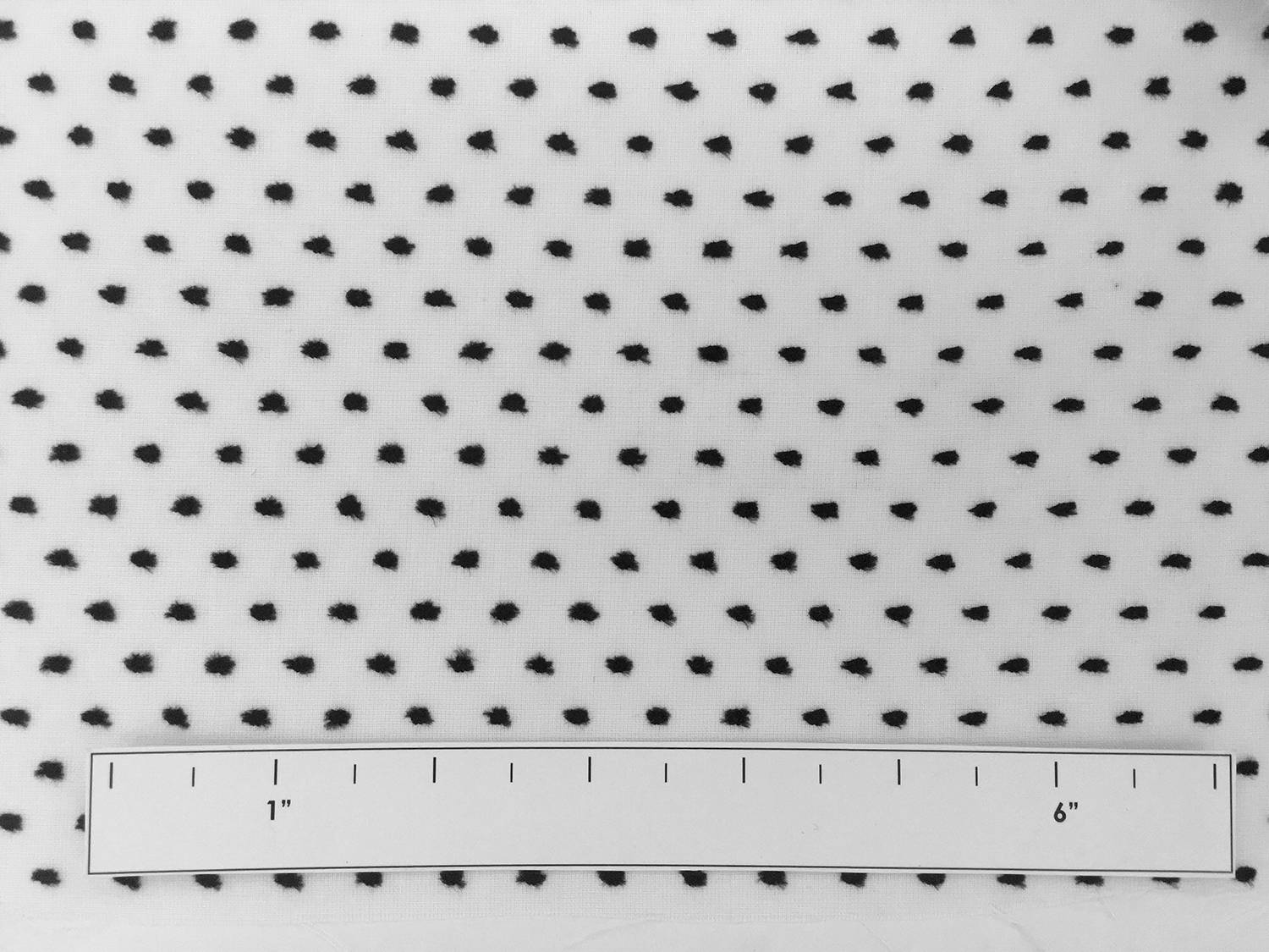 Cotton Swiss Dot in Black and White2