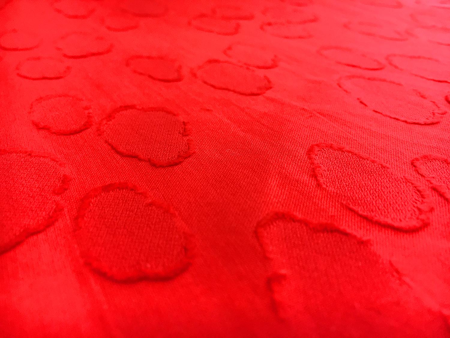 Swiss Cotton Voile Fil Coupe2