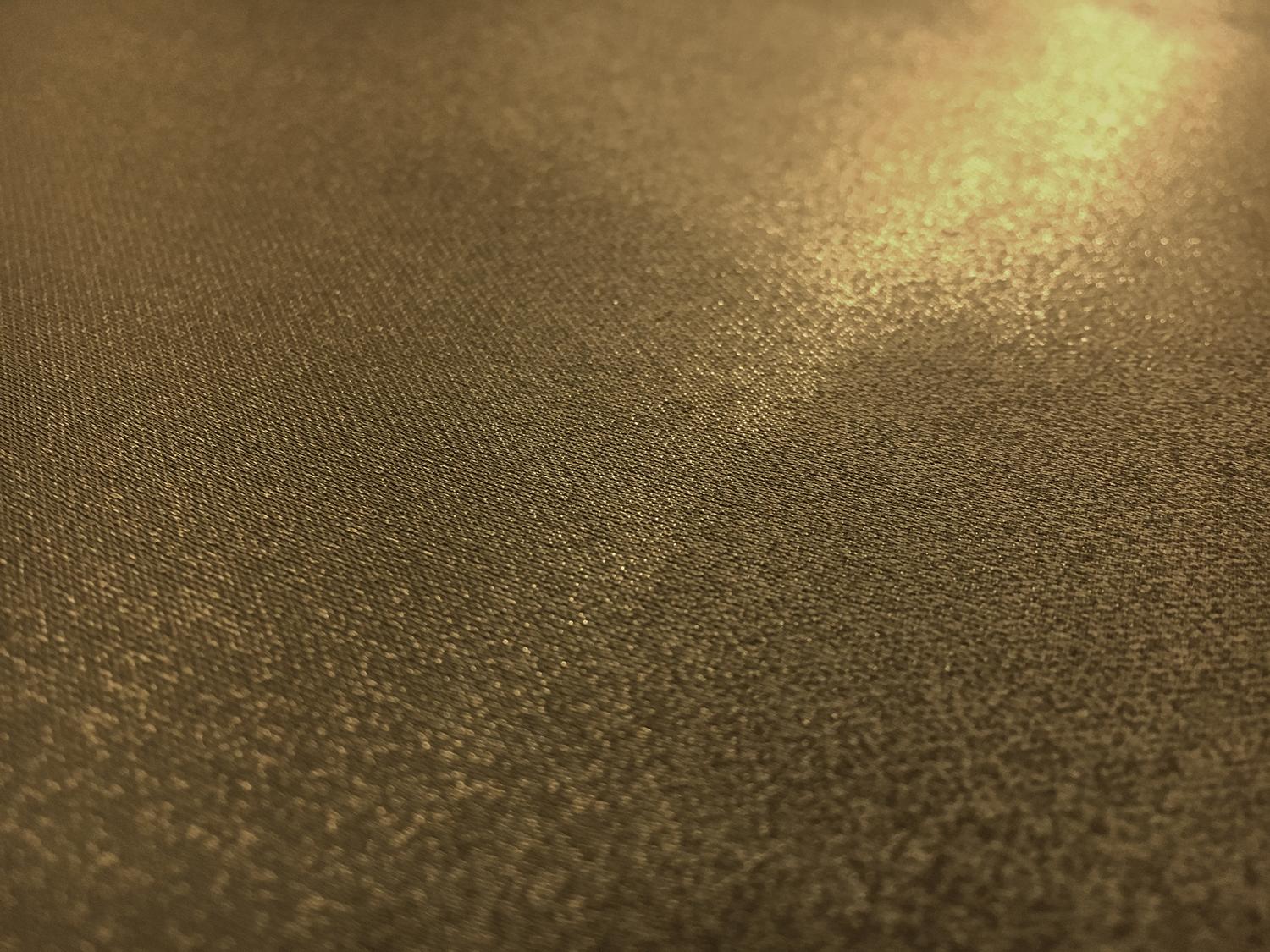 Metallic Polyester and Viscose Blend Satin Face Organza1