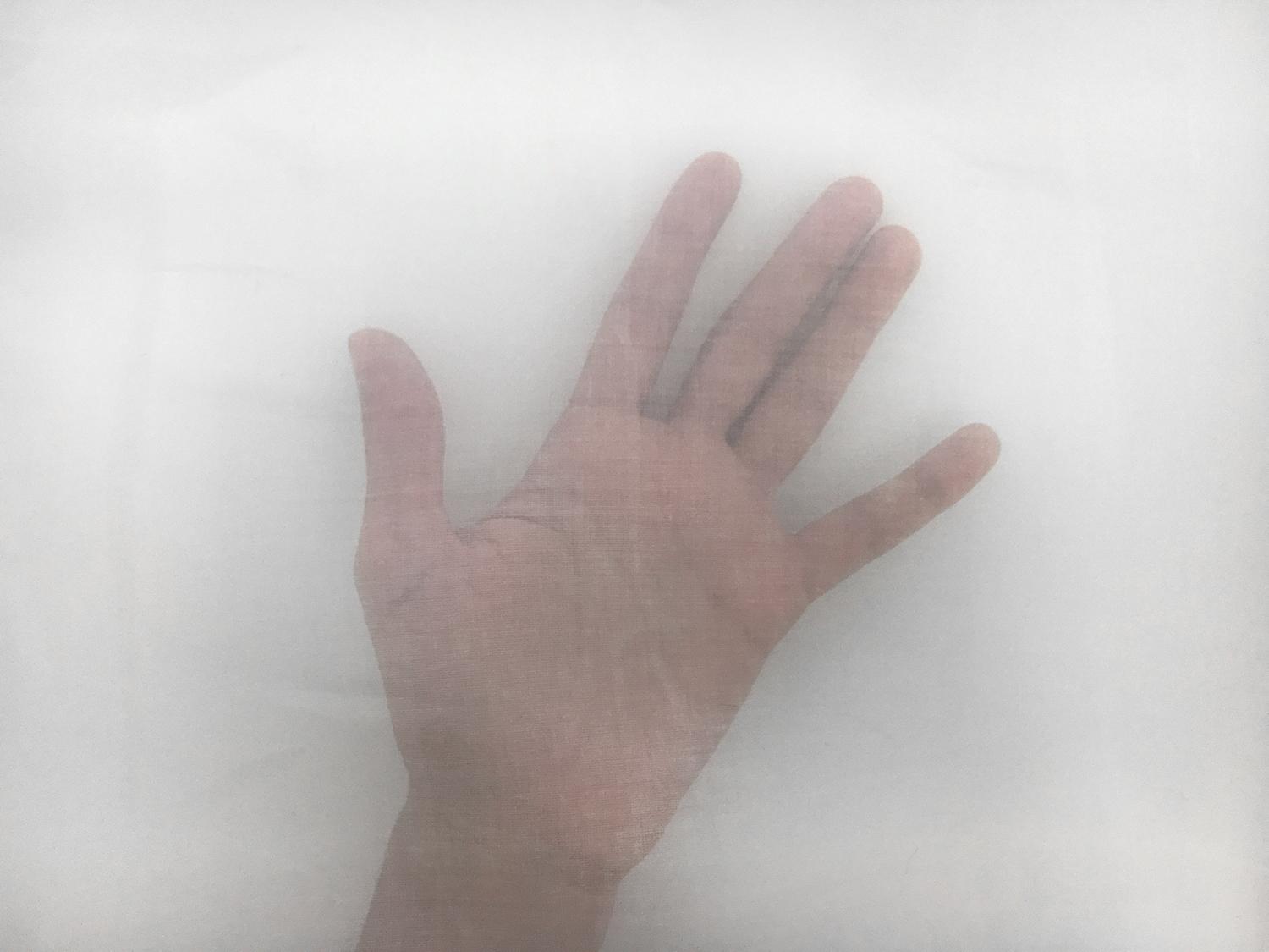 Swiss Cotton Organdy in White2