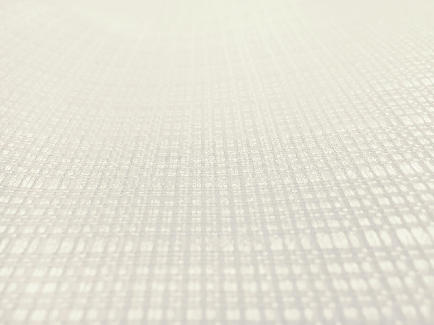 Silk and Viscose Blend Raffia Gazar in White0