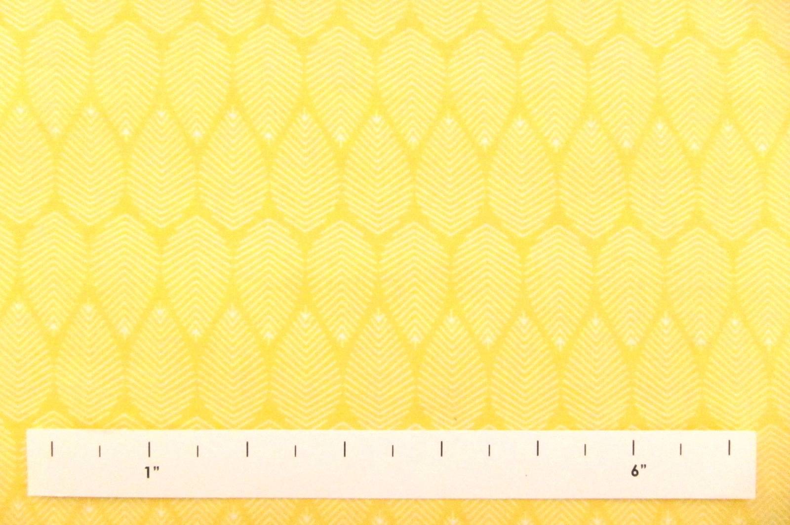 Cotton Broadcloth Print1
