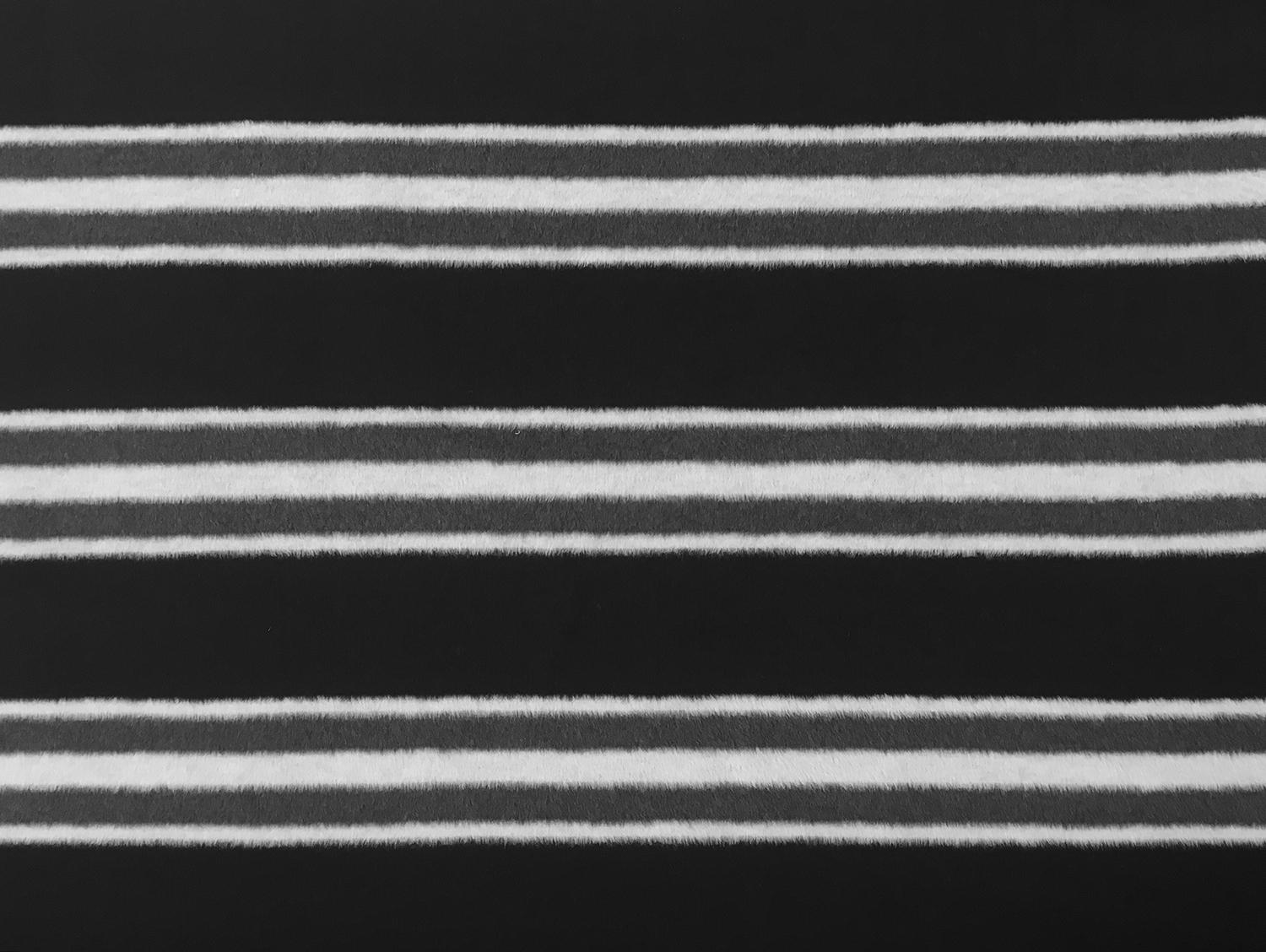 Striped Polyester Coating0