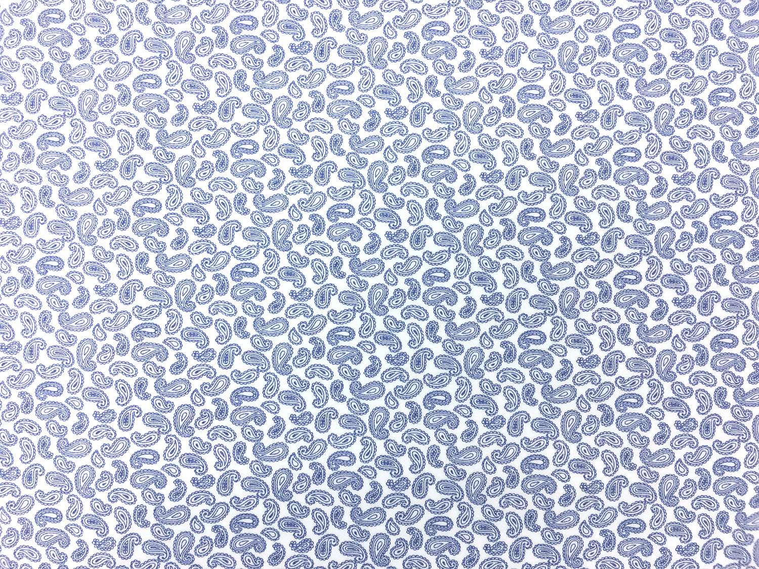 Cotton Broadcloth With Paisley Print in White And Blue 0