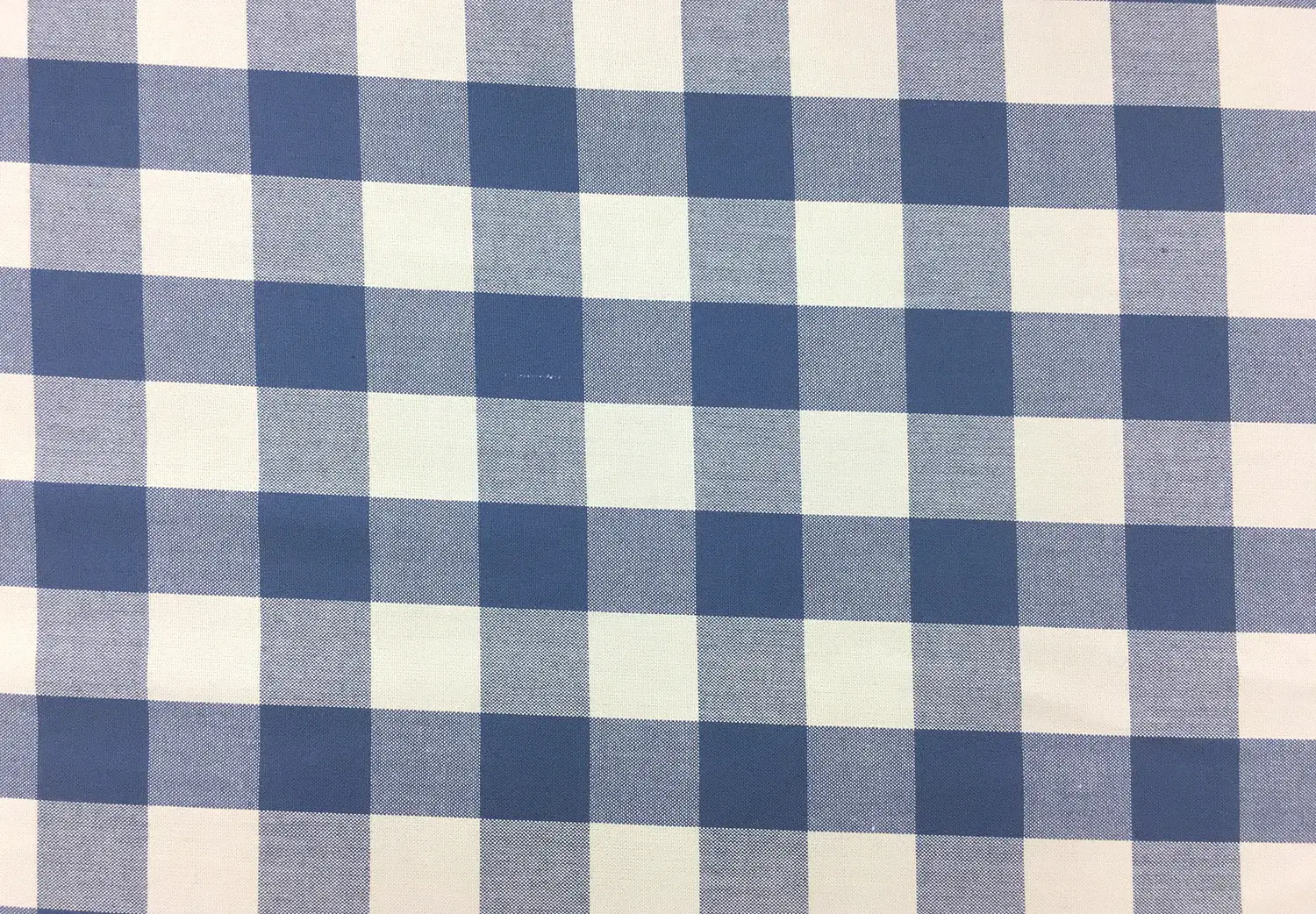 Carolina Cotton Gingham in Denim0