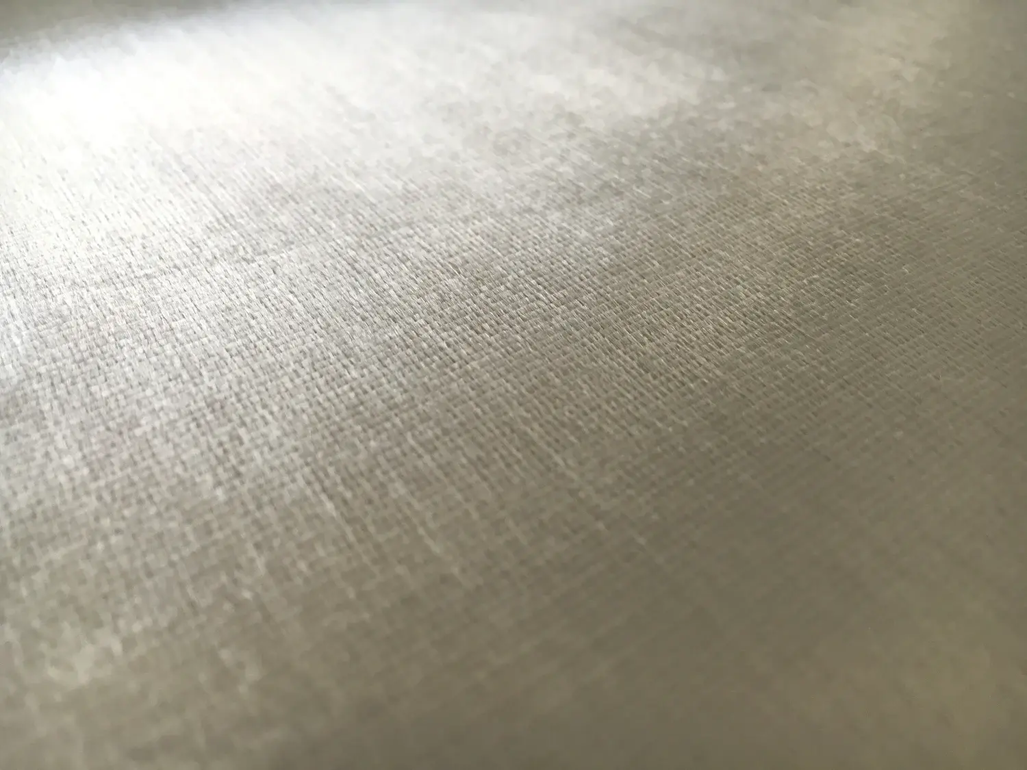 Rayon Panne Velvet in Silver0