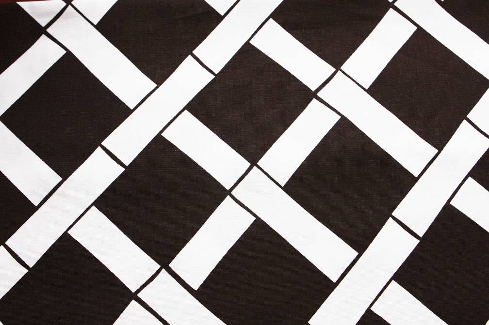 Printed Cotton Canvas0