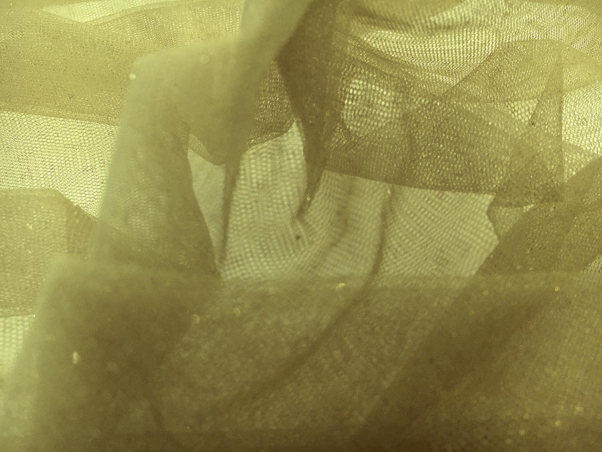 Metallic Nylon Tulle in Salvia and Gold