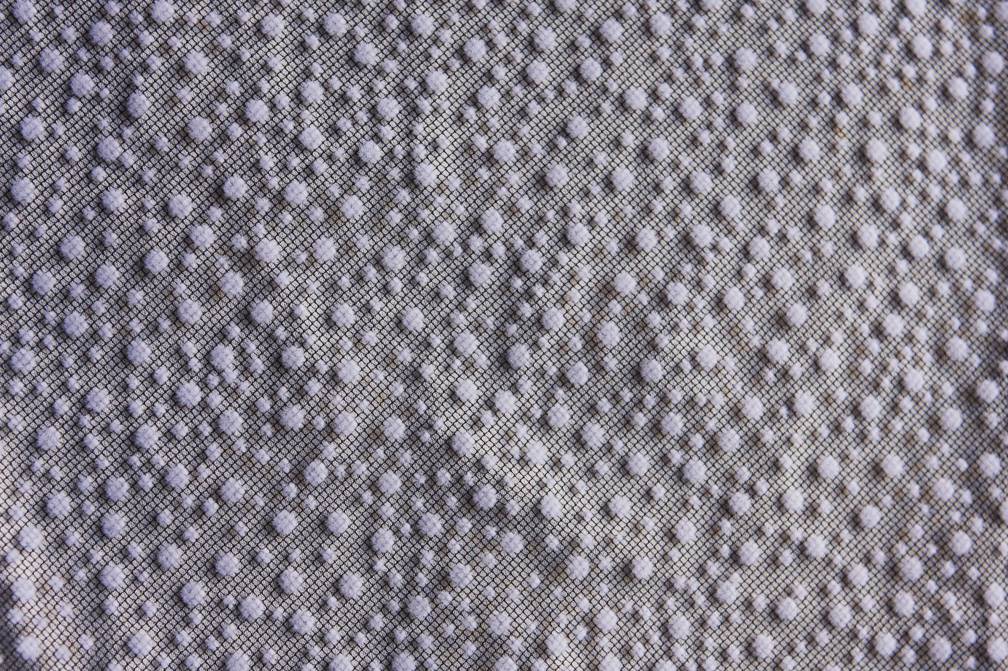 Flocking on Tulle0