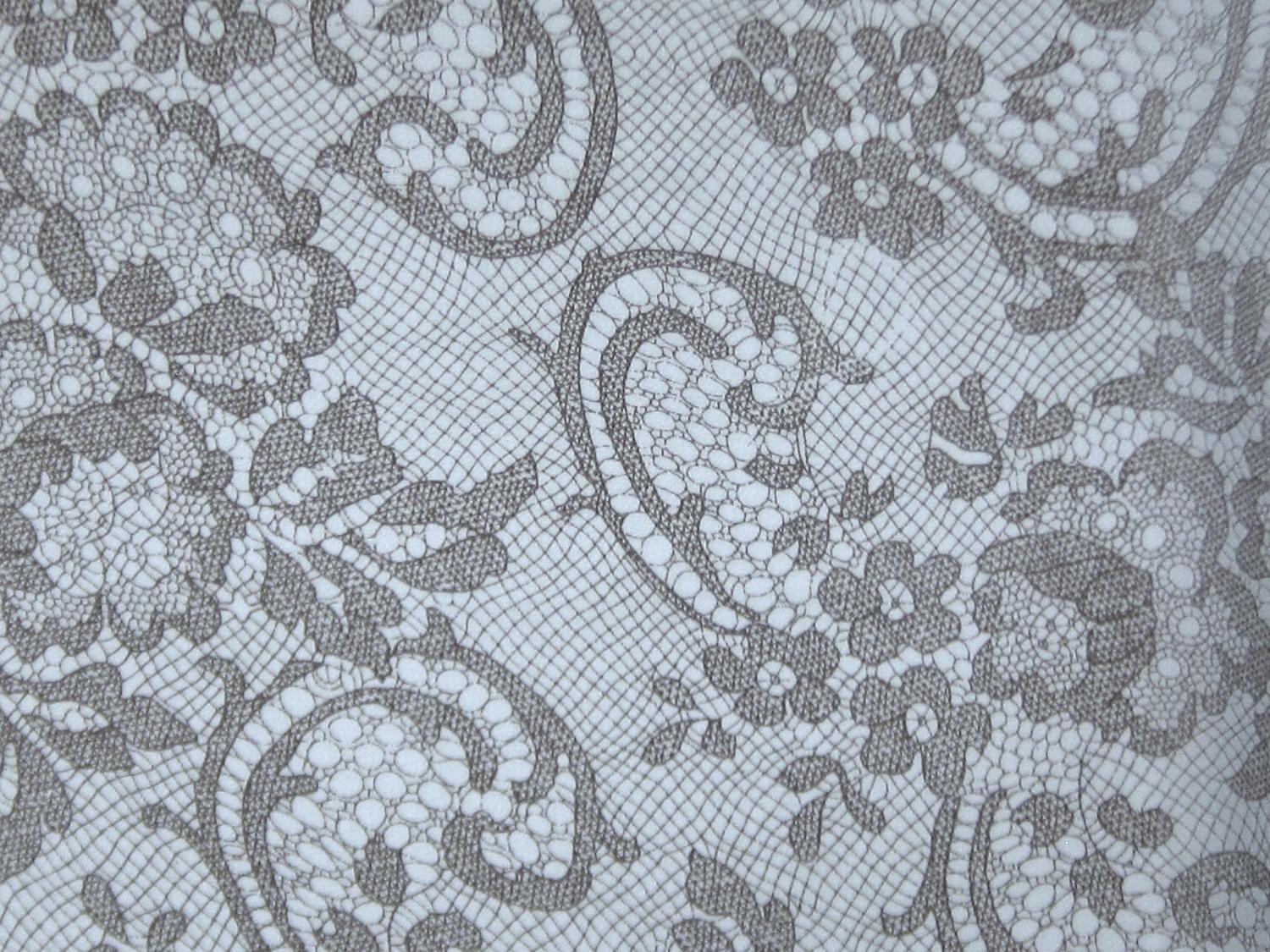 Printed Silk Chiffon with Floral Lace Patterns0