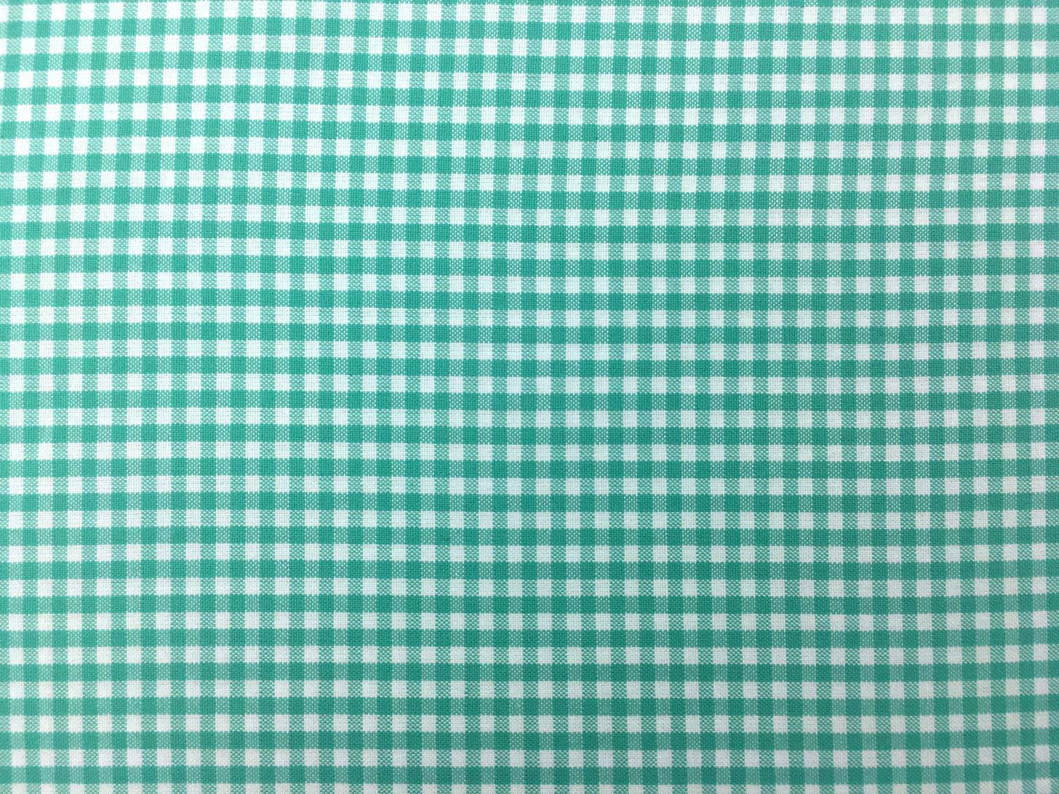 Carolina Cotton Gingham in Seafoam0