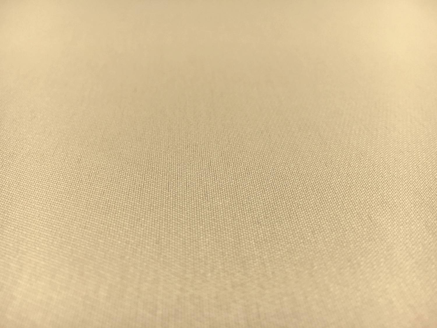 Silk and Polyester Zibeline in Nude1