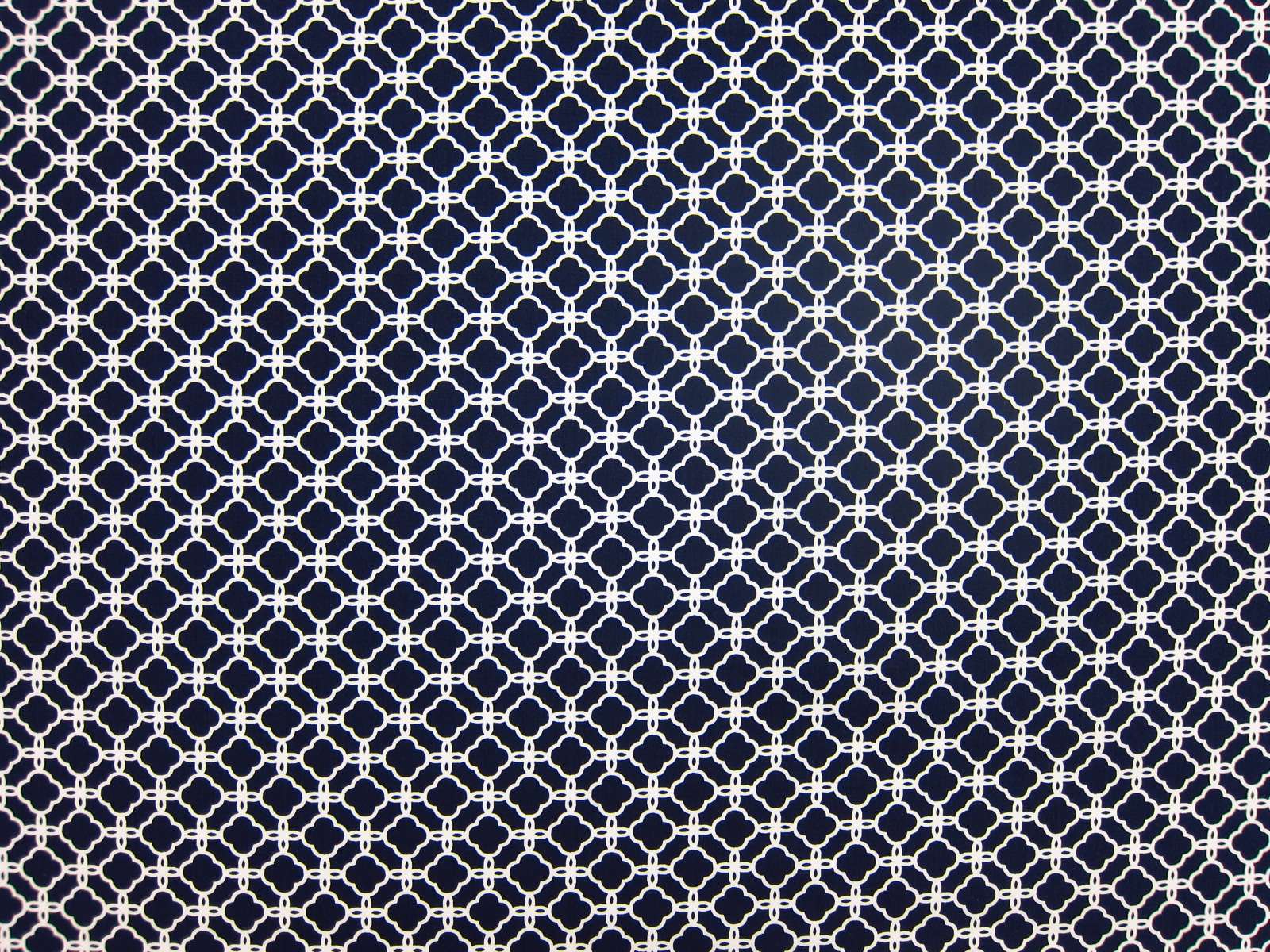 Cotton Broadcloth Print0
