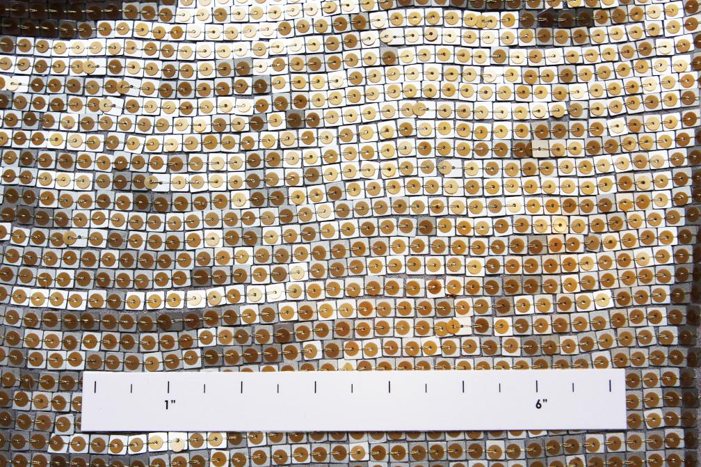 Sequins on Silk Chiffon1